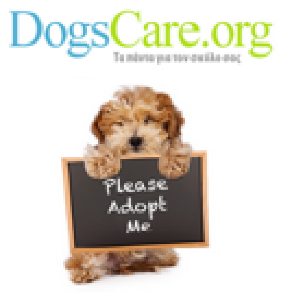 Dogs Care